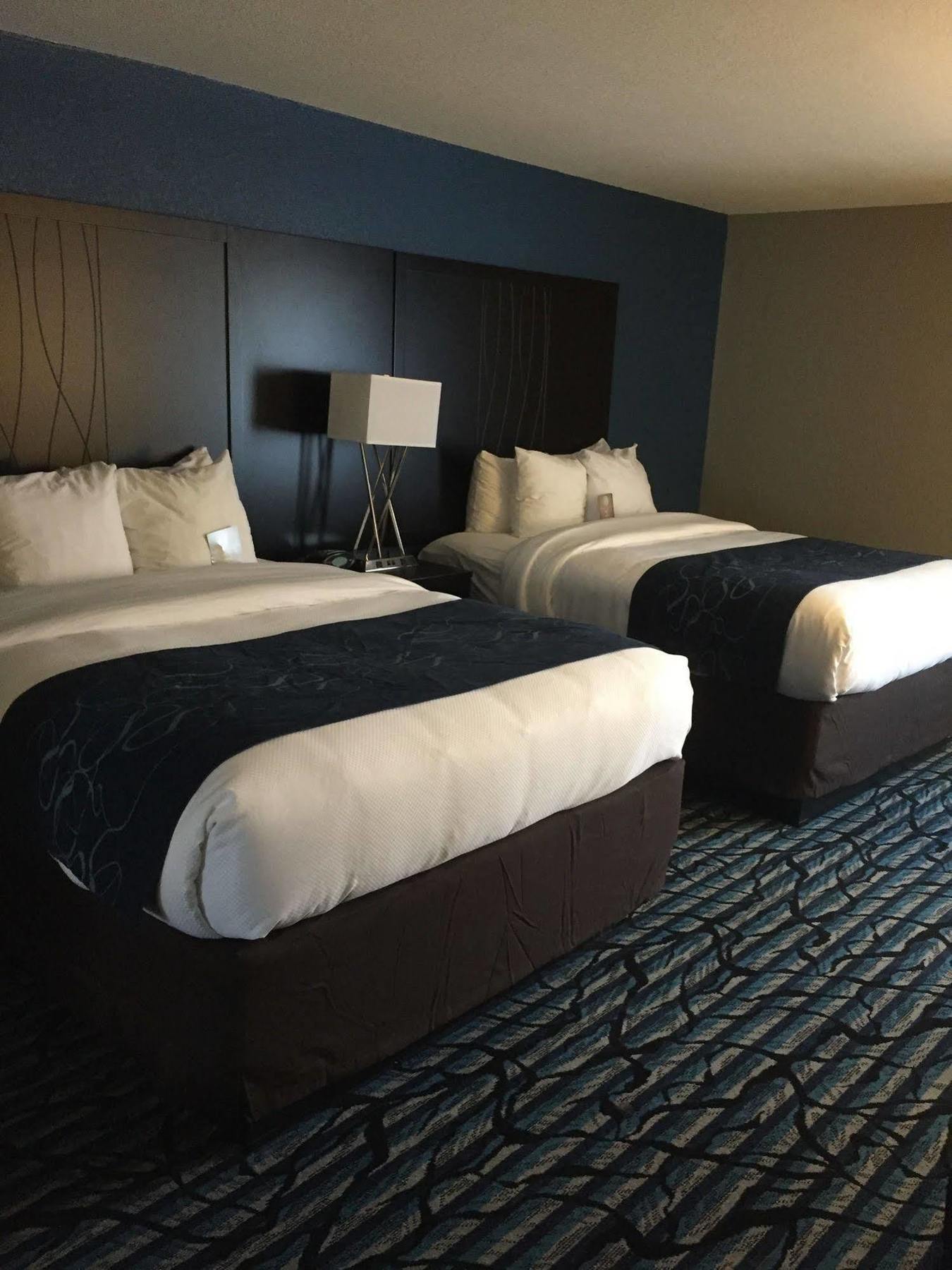 Comfort Suites University Μπατόν Ρουζ Εξωτερικό φωτογραφία